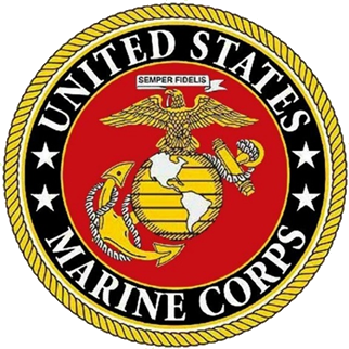 Avada Landing Product Demo